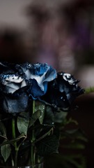 0B29738F-4752-434B-90CB-42A34F5C3FC8/L0/001