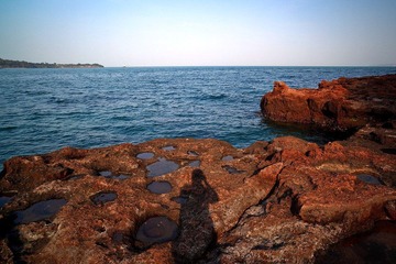 20100503-IMG_2620-1.jpg