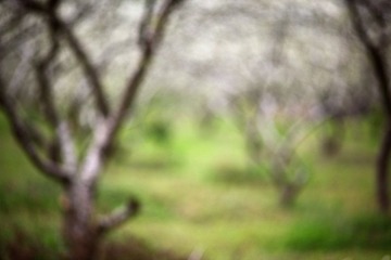 20120218-IMG_6782.jpg