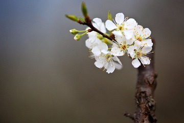 20120218-IMG_6789.jpg
