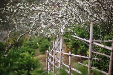20120218-IMG_6799.jpg