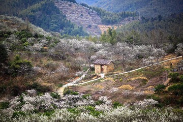 20120218-IMG_6803.jpg