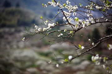 20120218-IMG_6814.jpg