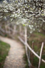 20120218-IMG_6857.jpg