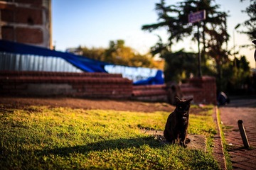 20130928-IMG_4371
