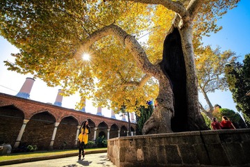 20130929-IMG_5440