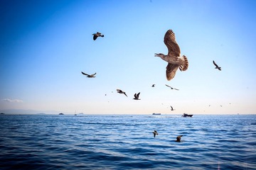 20130929-IMG_5587