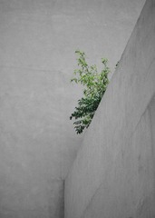 16CF1A26-5520-4E61-9D78-2B49BF67D55F/L0/001