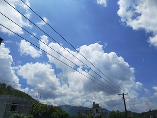 1533916