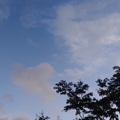 282352
