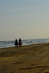 观海DSC_1032.jpg
