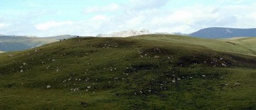 尕海湖3.jpg