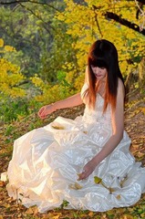 银婚DSC_0453.jpg