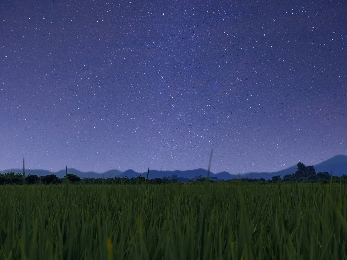 田园夜空