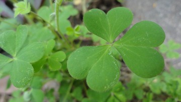 DSC01122.JPG