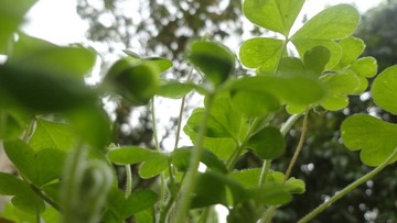 DSC01131.JPG