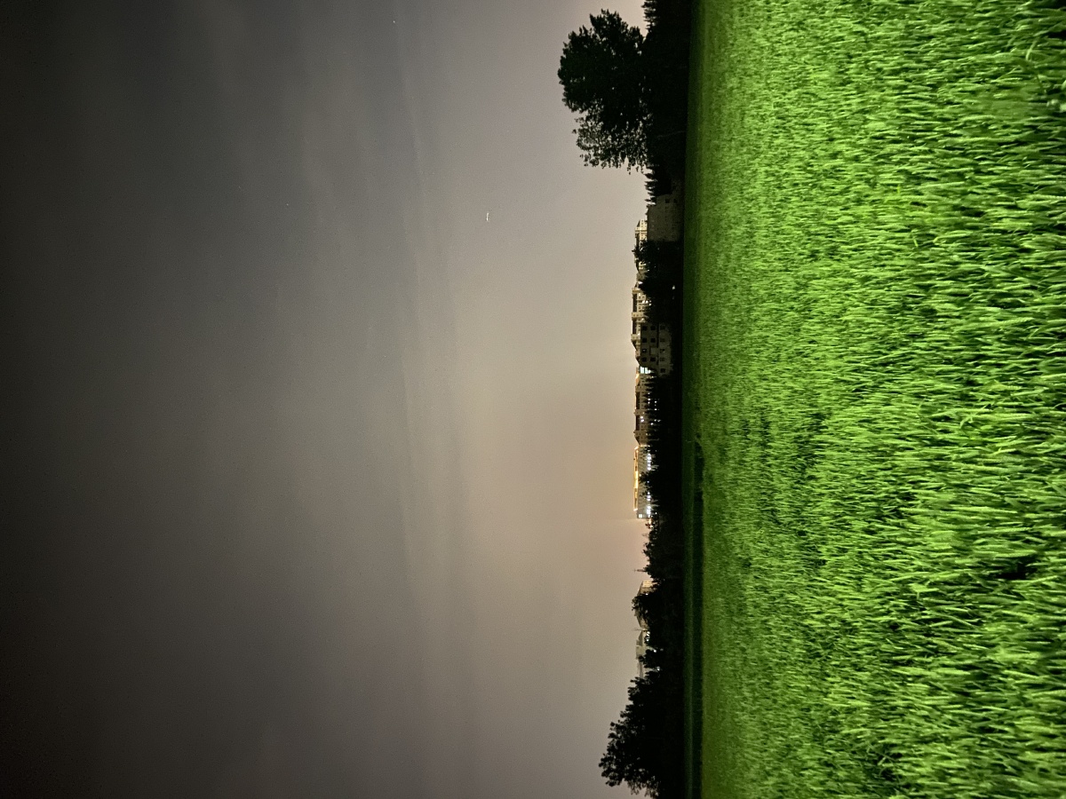 路灯下的绿色麦田深邃的夜空以及失眠患者