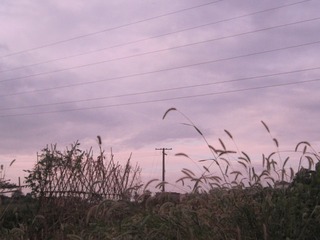 12ED9627-6123-499A-BEF0-D92FE0FBB1DA/L0/001