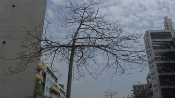 IMG_6215.JPG