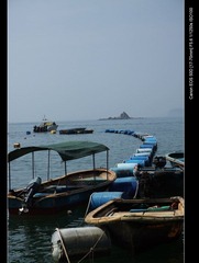 IMG_7074.jpg