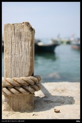 IMG_7097.jpg