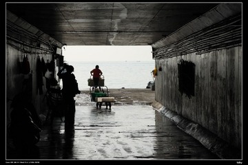 IMG_7278.jpg