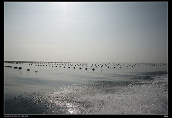 IMG_7307.jpg