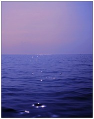 IMG_7341.jpg