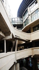 P1000230.JPG
