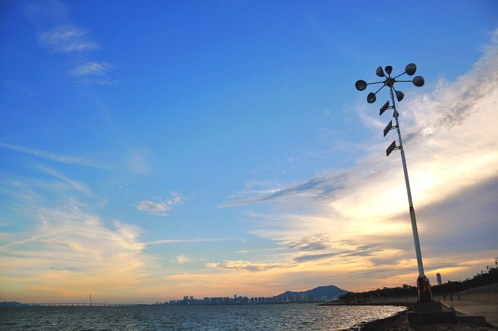 红树林5<br />
