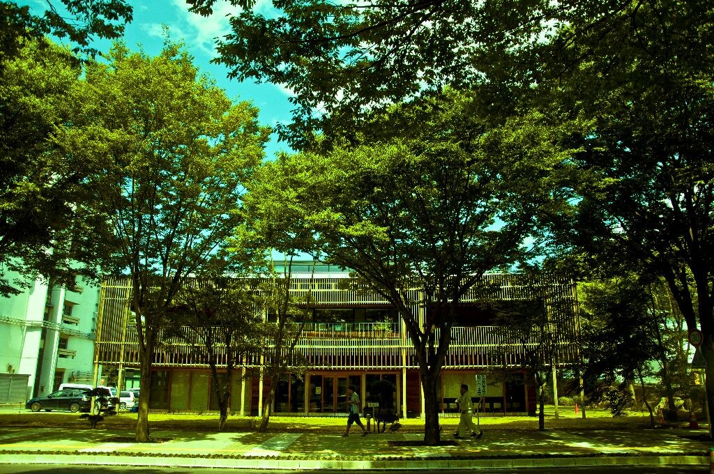 全木构校园建筑<br />

