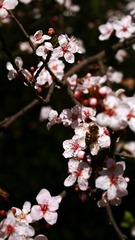DSC08074_conew1.jpg