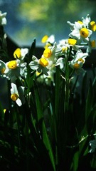 DSC08110_conew1.jpg