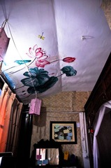DSC_5252.jpg
