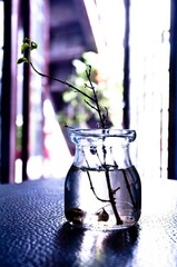 DSC_5418.jpg