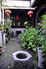 DSC_5230.jpg