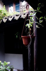 DSC_5974.jpg