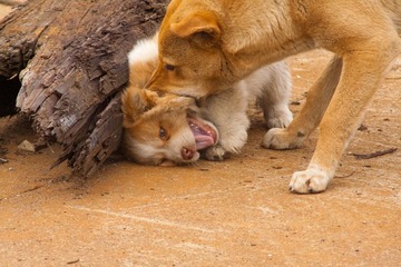 IMG_6387.jpg
