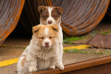 IMG_6399.jpg