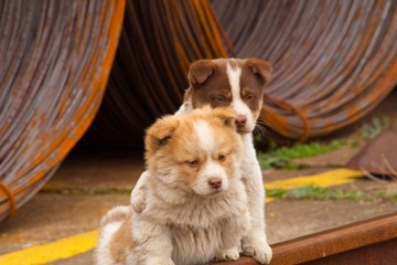 IMG_6406.jpg