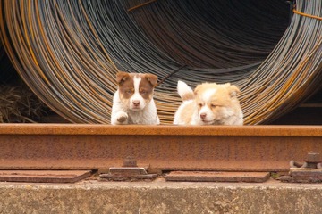 IMG_6378.jpg