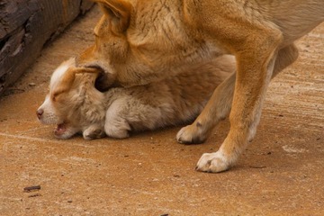 IMG_6383.jpg