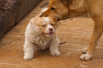IMG_6384.jpg