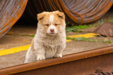 IMG_6396.jpg