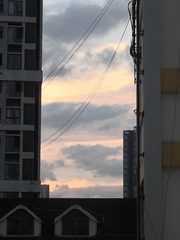 1289207