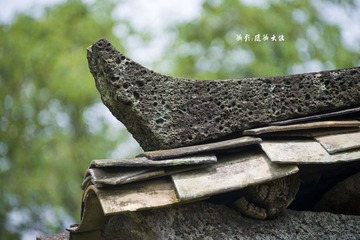WD8_7373_