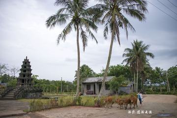 WD8_7591_