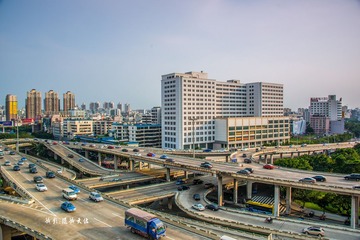WD8_8846