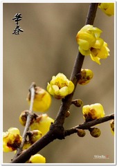 IMG_5712.jpg