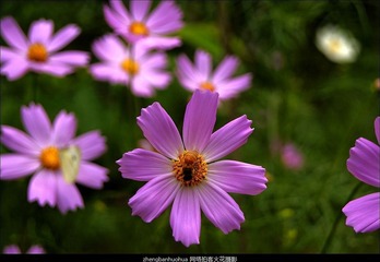 _DSC0257